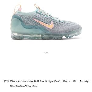 Nike Wmns Air VaporMax 2021 Flyknit 'Light Dew'